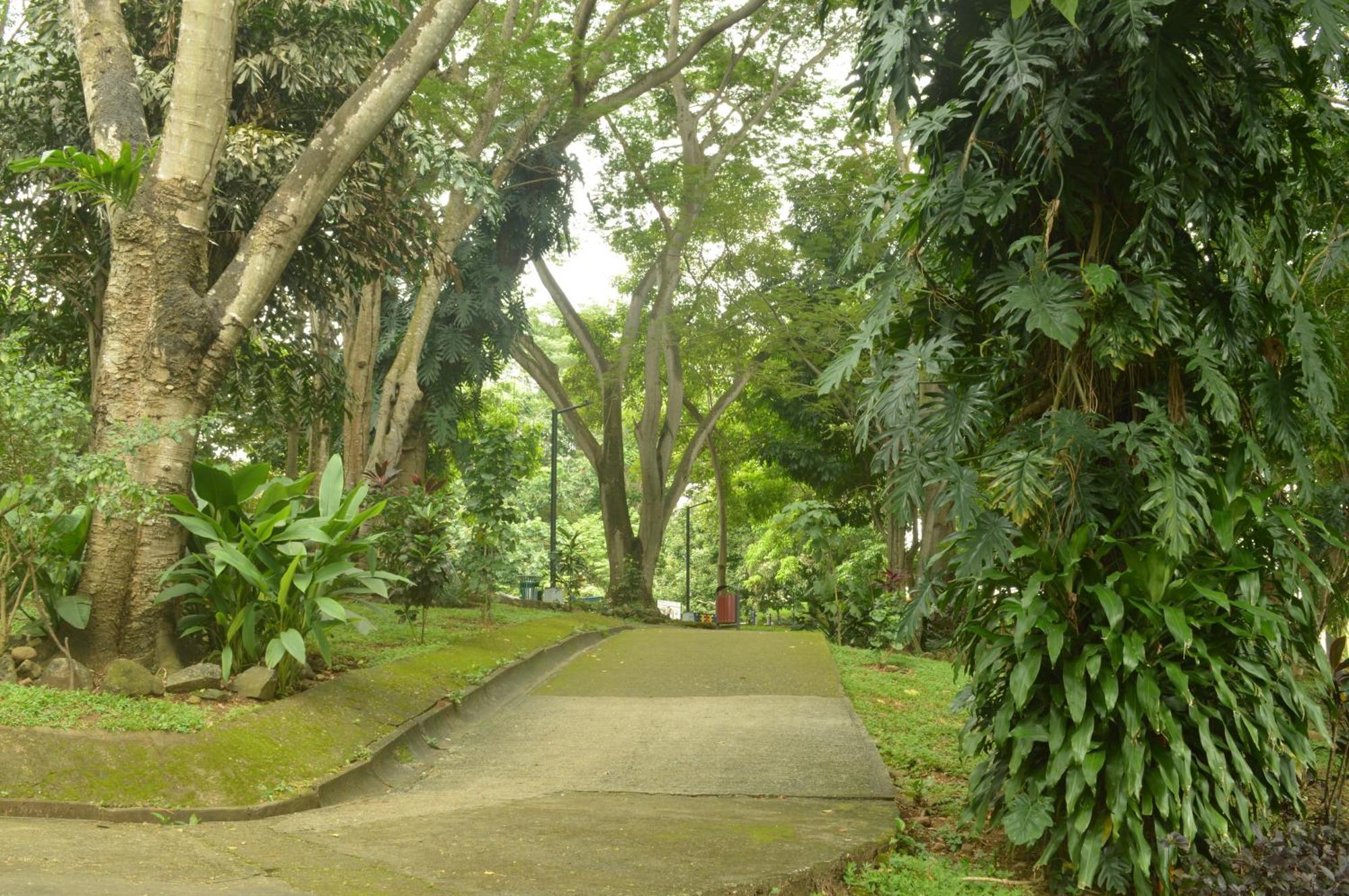 Totumas Lodge Panama Stadt Exterior foto